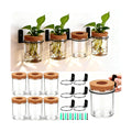 Baderke 6 Set Wall Plant Holder with Plastic Propagation Vases Hanging Planter Wall Mounted Set for Plants Growing in Water Hydroponic Artificial Plants Indoor Decor (3.54" X 4.33",Stylish)
