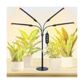 4Head Tabletop Grow Lights for Indoor Plants, Seed Starting, Bonsai, 4/8/12/16/20H Timer, 36 Watt Power Draw, NO Need