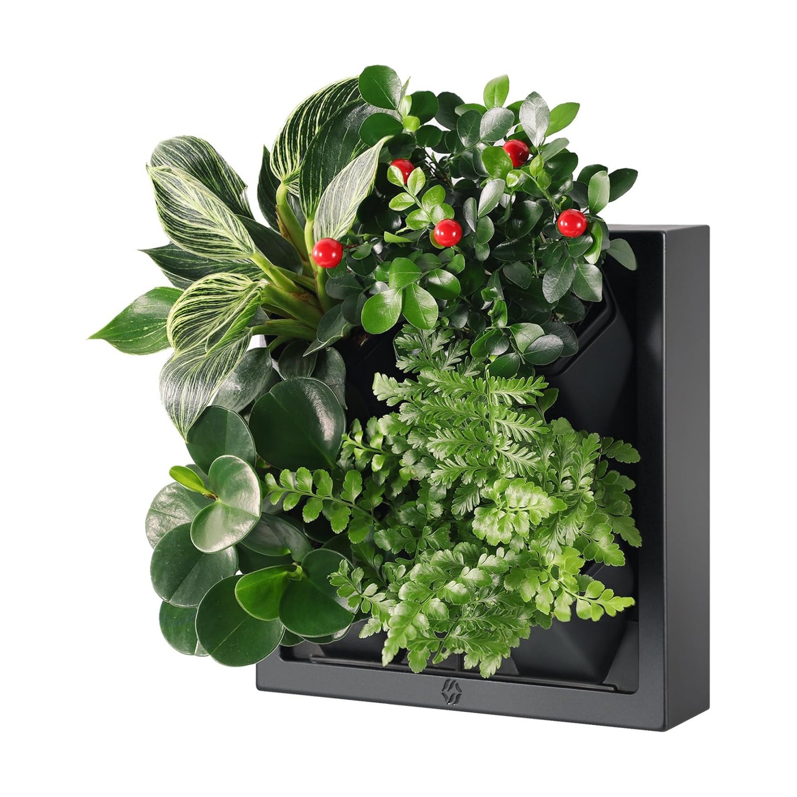 Wall Mounted Planter, Vertical Garden with 4 Grow Pots | Ready-to-use wall planter with 4 pots for herbs, succulents