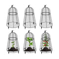 6 Pack Plant Protectors from Animals, Garden Cloches for Plants, Rustproof Chicken Wire Cloche Plant Cages to Keep
