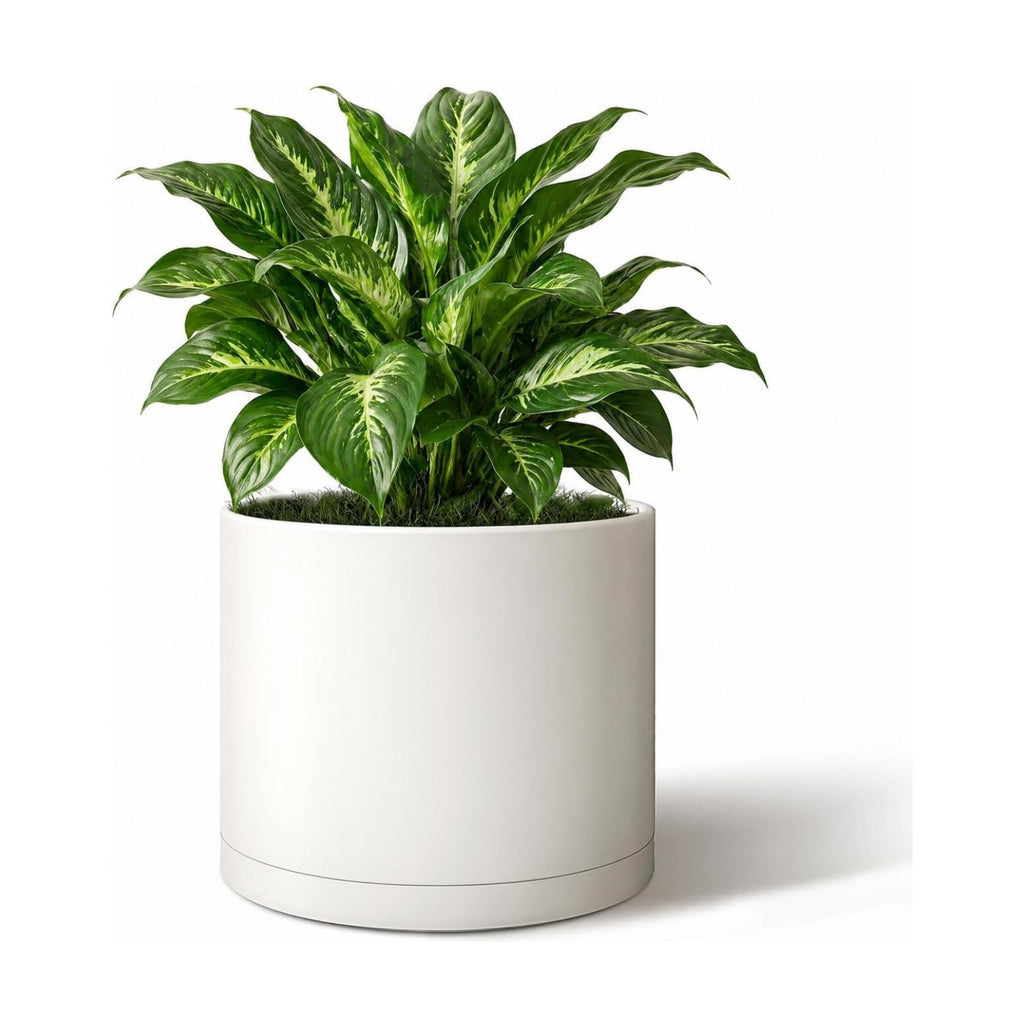 Giraffe Creation 10 Inch Cylinder Plant Pot, Modern Round Planter with Drainage Holes and Saucer, Lightweight Plastic
