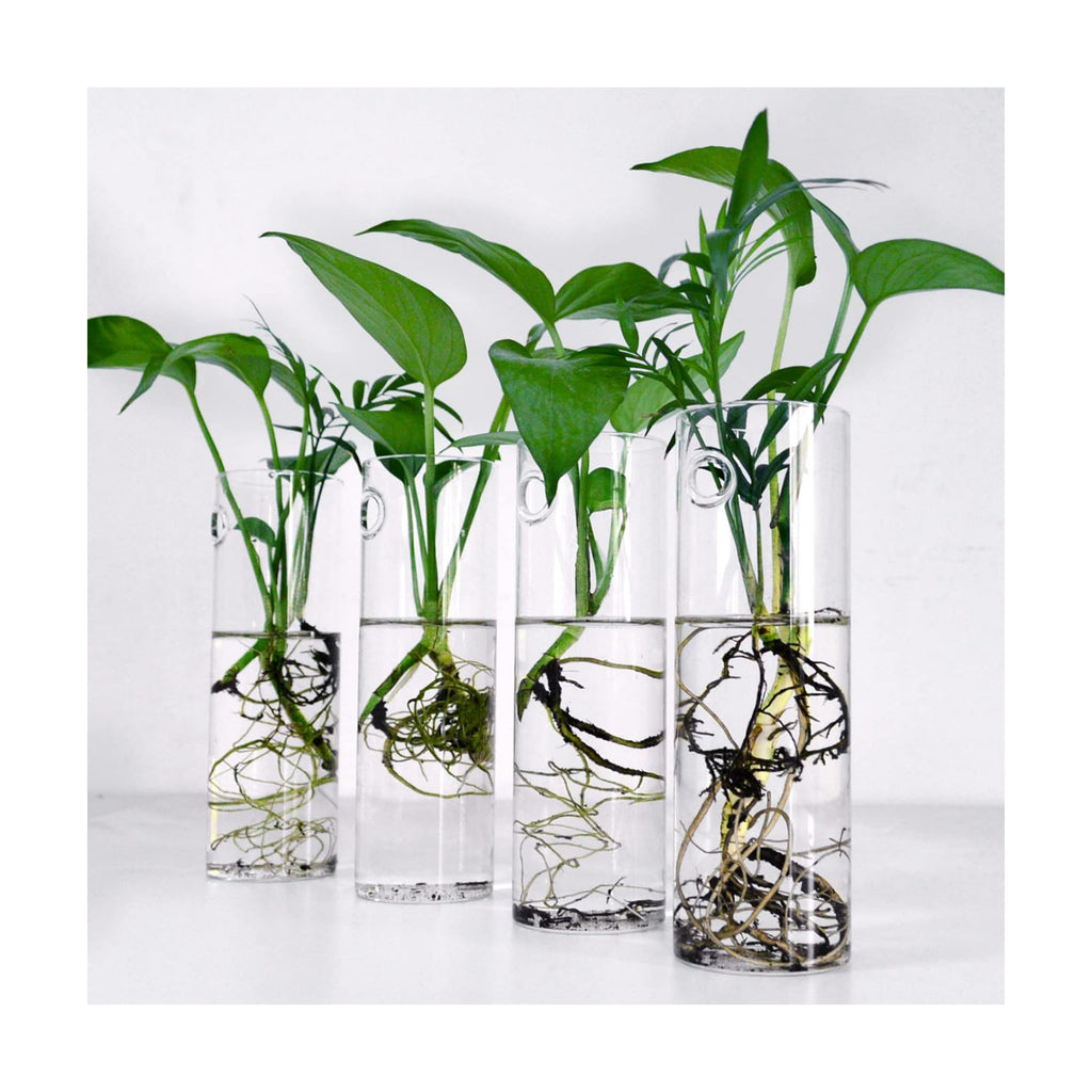 Wall Hanging Planter Glass Plant Propagation Station,Plant Terrarium Perfect for Home Garden Office Decoration Accessories-4 Cylinder Shape Container