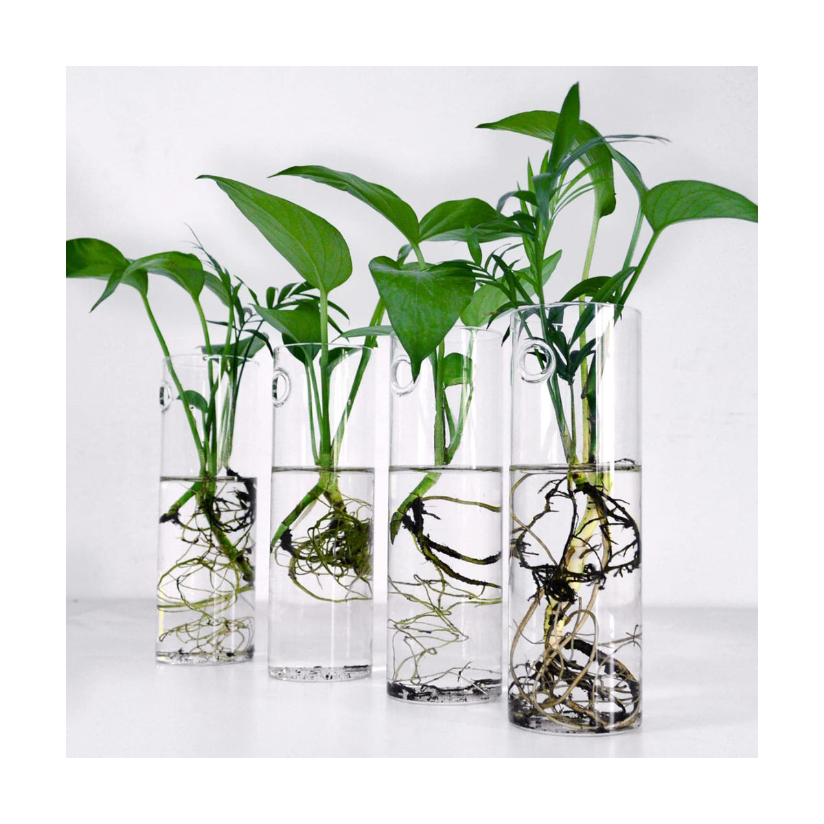 Wall Hanging Planter Glass Plant Propagation Station,Plant Terrarium Perfect for Home Garden Office Decoration Accessories-4 Cylinder Shape Container
