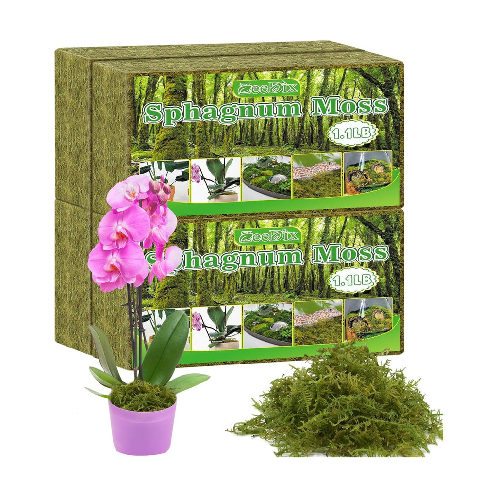 Sphagnum Moss 4.4 LB Long Fiber Green Forest Moss | Ideal for Repotting Orchids, Succulents, and Indoor Plants. Natural