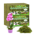 Sphagnum Moss 4.4 LB Long Fiber Green Forest Moss | Ideal for Repotting Orchids, Succulents, and Indoor Plants. Natural