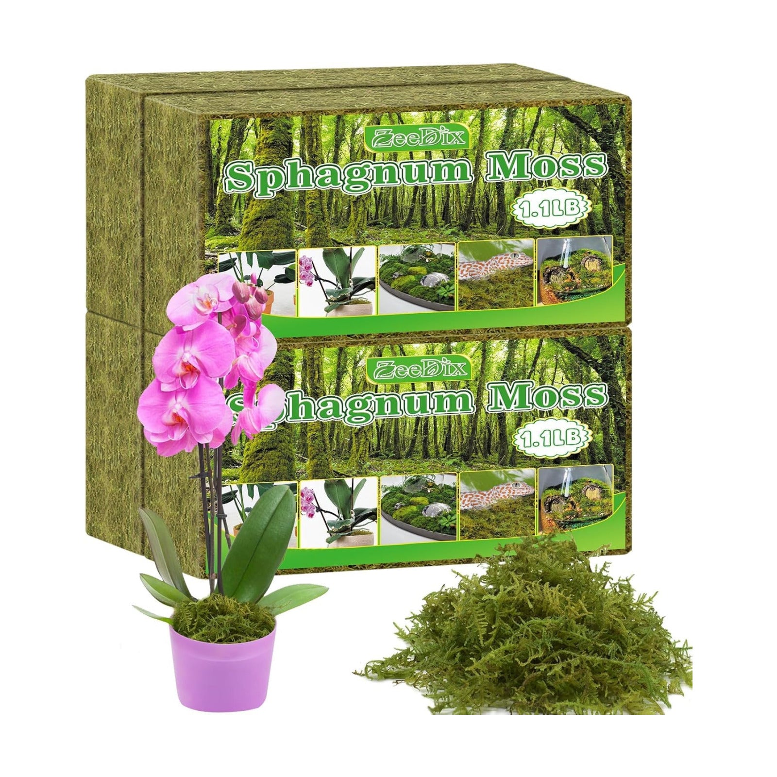 Sphagnum Moss 4.4 LB Long Fiber Green Forest Moss | Ideal for Repotting Orchids, Succulents, and Indoor Plants. Natural