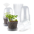 BTPLASTIK 6 Inch Clear Nursery Pots with Humidity Domes 15 Pack, Transparent Plastic Plant Pot with Drainage Holes and