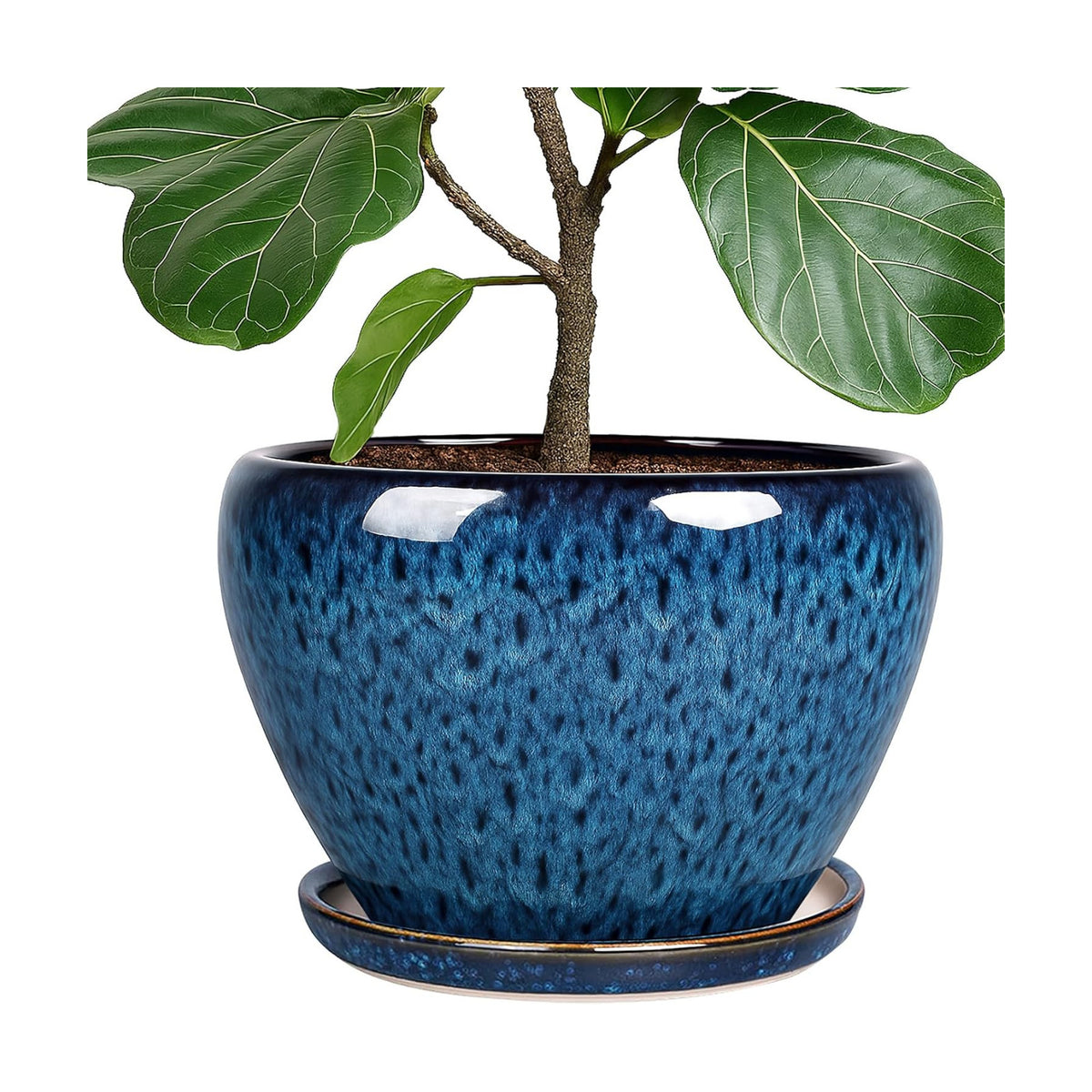 Deep Dream 10 Inch Plant Pot- Ceramic Planter Pot Round Plant Pots for Indoor Plants Outdoor Large Flower Pot with