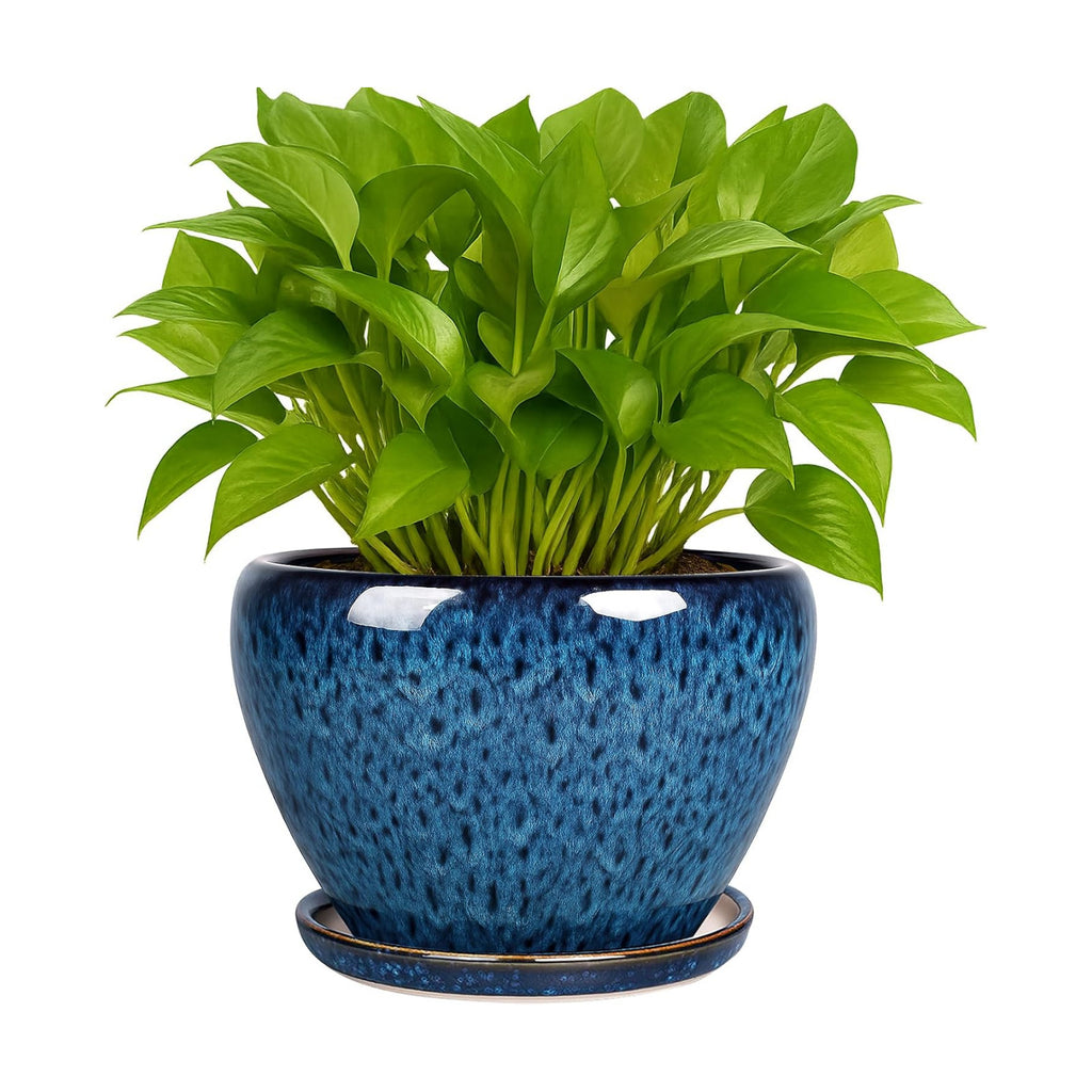 Deep Dream 6 Inch Plant Pots- Ceramic Planter Pot with Drainage Hole and Saucer, Round Flower Pot for Indoor Outdoor Succulent, Snake Plants and Cactus, Blue