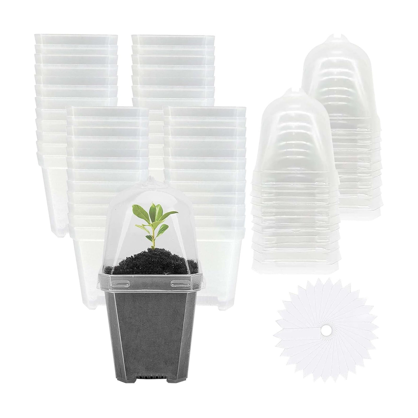 50 Pcs 3" Clear Plant Nursery Pot with Humidity Dome, Plastic Gardening Pot | Plastic Plant Container with Labels