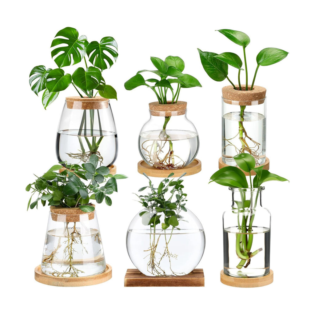 Honeydak 6 Pcs Plants Propagation Stations Planter Terrariums with Wooden Lid and Bamboo Stand Desktop Glass