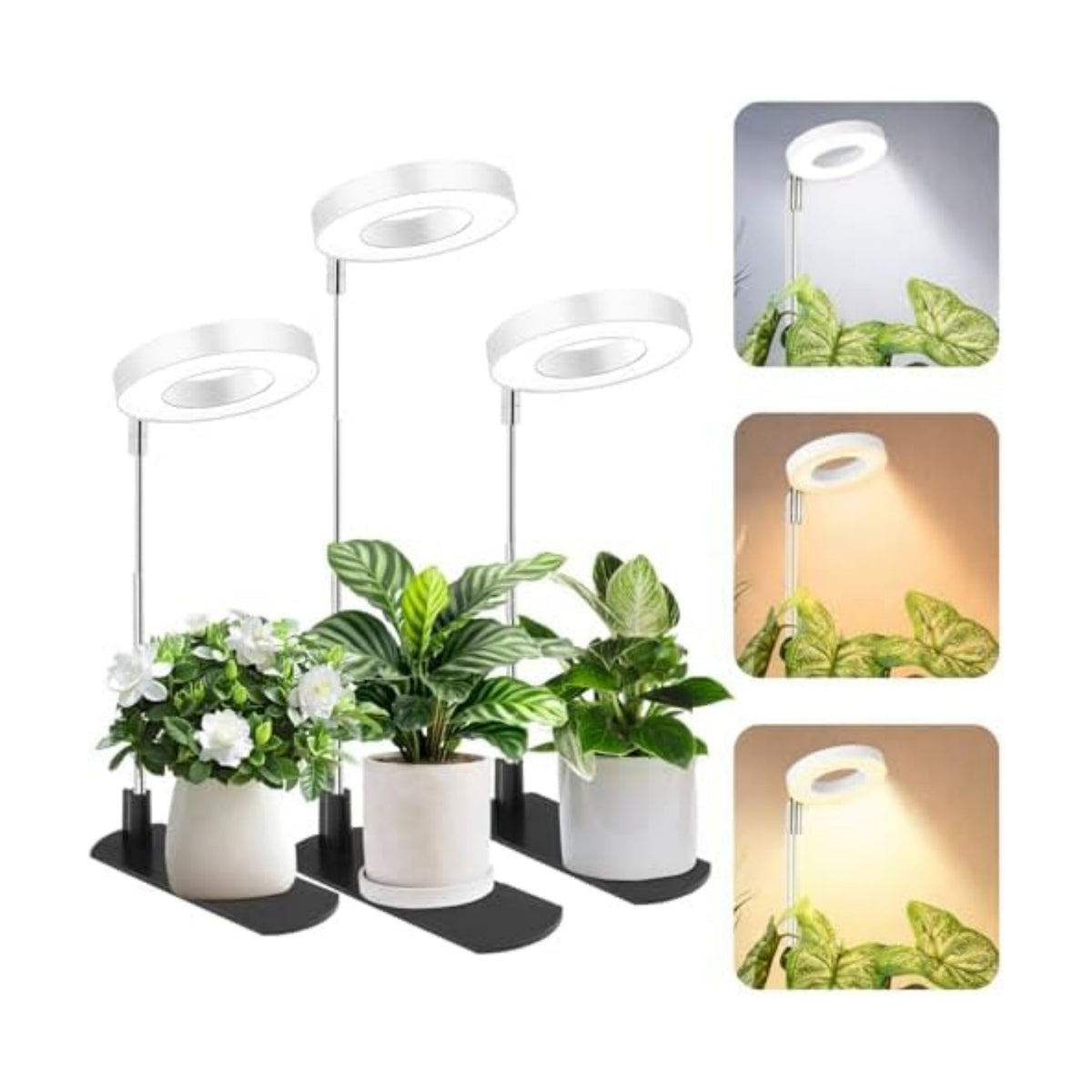LBW Grow Lights for Indoor Plants, Full Spectrum Halo Grow Light with Base