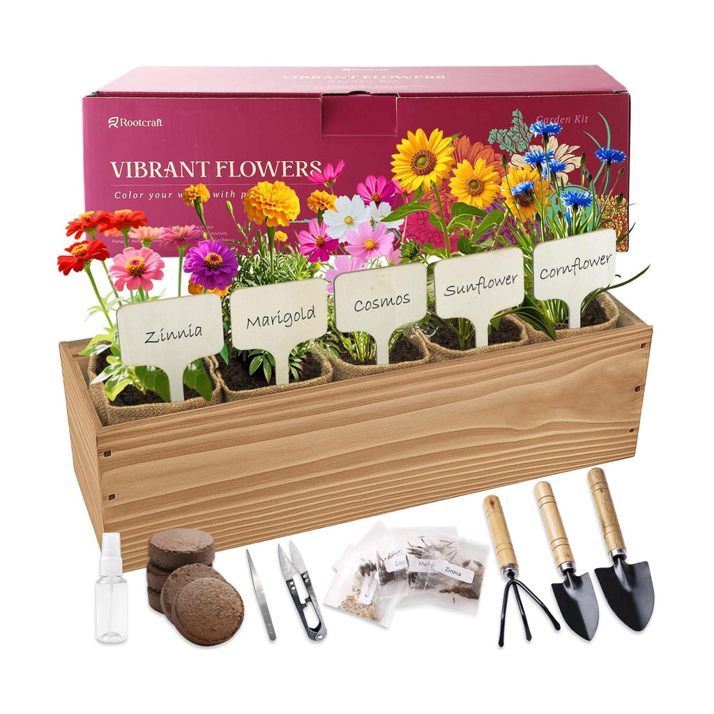 5 Indoor Flowers Growing Kit for Beginners, Complete Planting Starter Set with Zinnia, Cosmos, Sunflower, Marigold