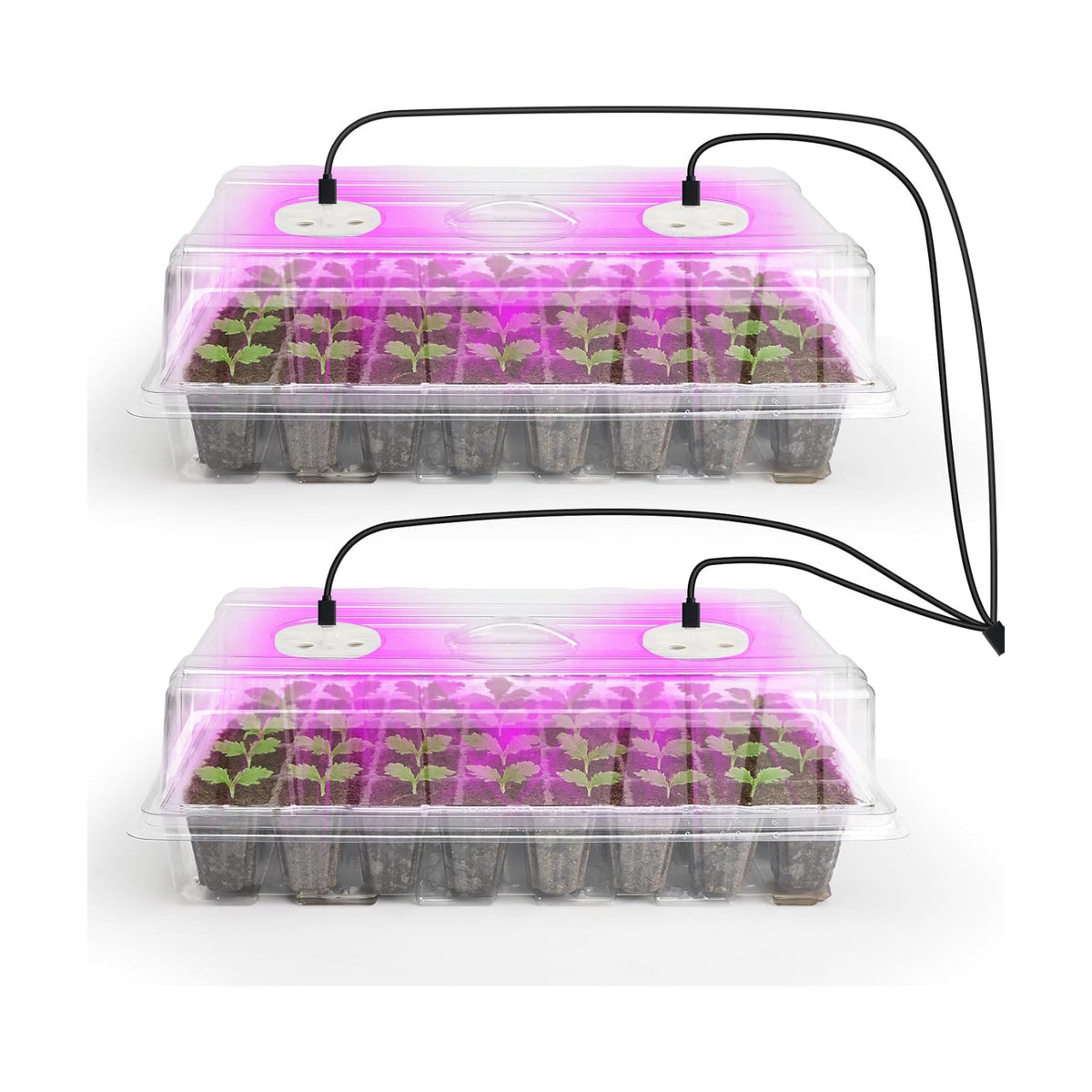 Bonviee Seed Starter Trays with Grow Lights, 80 Cells, 2 Pack