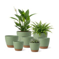 LIFFY Plant Pots, 8,7.5,7,6.5,6,5.5,5 Inch Plastic Self Watering Planters with Drainage Holes & Saucers, 7-Pack Green