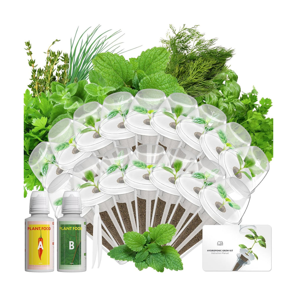 LYKOCLEAN Herb Seed Pod Kit Compatible with AeroGarden Hydroponics Growing System, Complete Indoor Gardening Supply