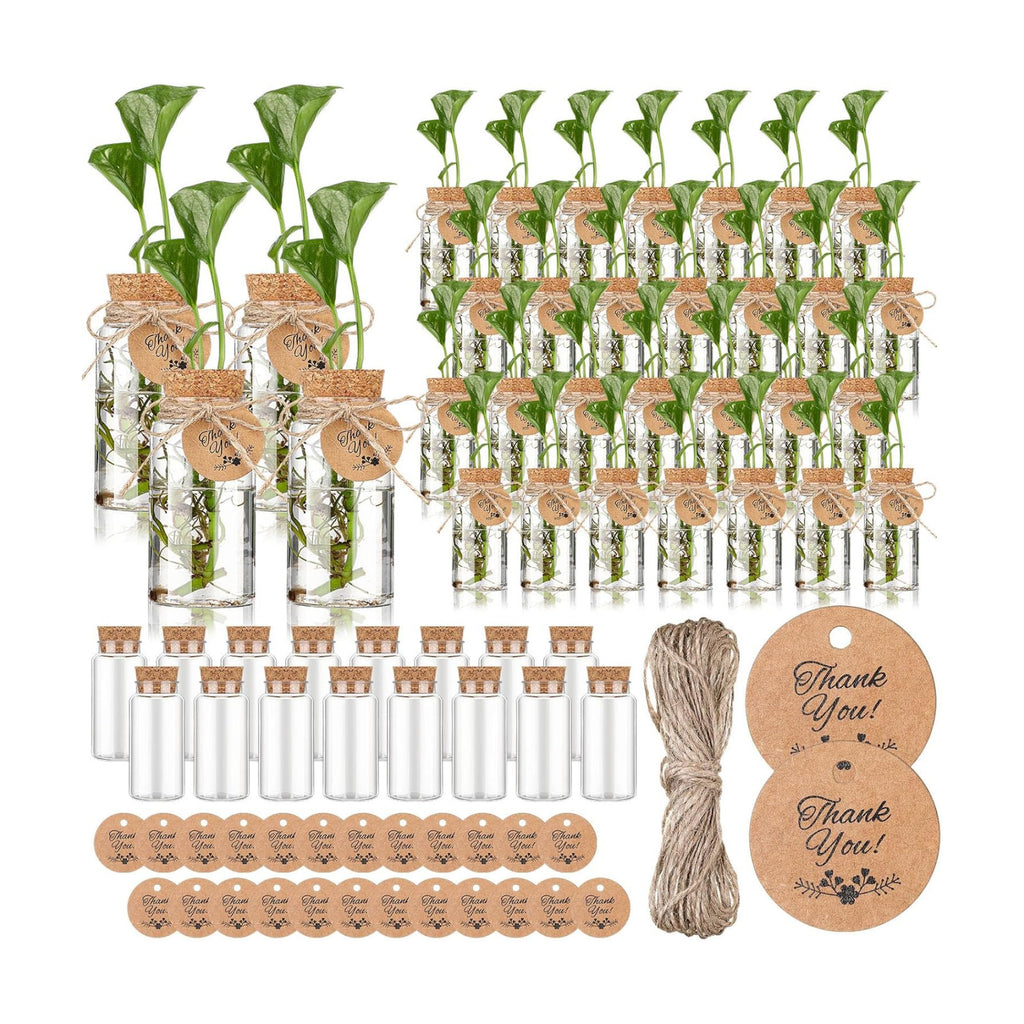 48 Pcs 3.54'' Plastic Plant Propagation Stations with Hole Lid 4oz Planter Vase Clear Propagation Jars with Thank You