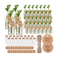 48 Pcs 3.54'' Plastic Plant Propagation Stations with Hole Lid 4oz Planter Vase Clear Propagation Jars with Thank You