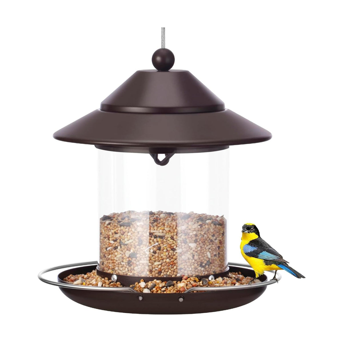 Bird Feeders for Outdoors, Hanging Small Metal Roof Bird Feeder with Clear Tube Seed Capacity for Viewing Cardinal Finch, Wild Birdfeeders for Outside Garden Yard Decoration (2lb:Brown)