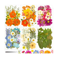 Evatage 155 Pcs Real Dried Pressed Flowers and Leaves for Resin Crafts