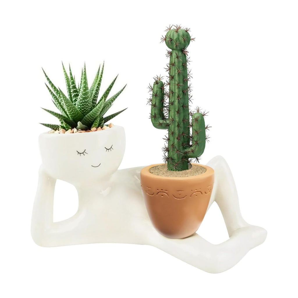 Lazy Guy Funny Plant Pots, Cute Smily Face Planter Pot with Drainage Hole | Goofy Garden Planter, Unique Cactus Plant