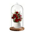 Glass Cloche Dome, 5 x 10 Inch | Glass Bell Jar with Wood Base, Clear Display Case for Flower, Plant,Fairy Lights