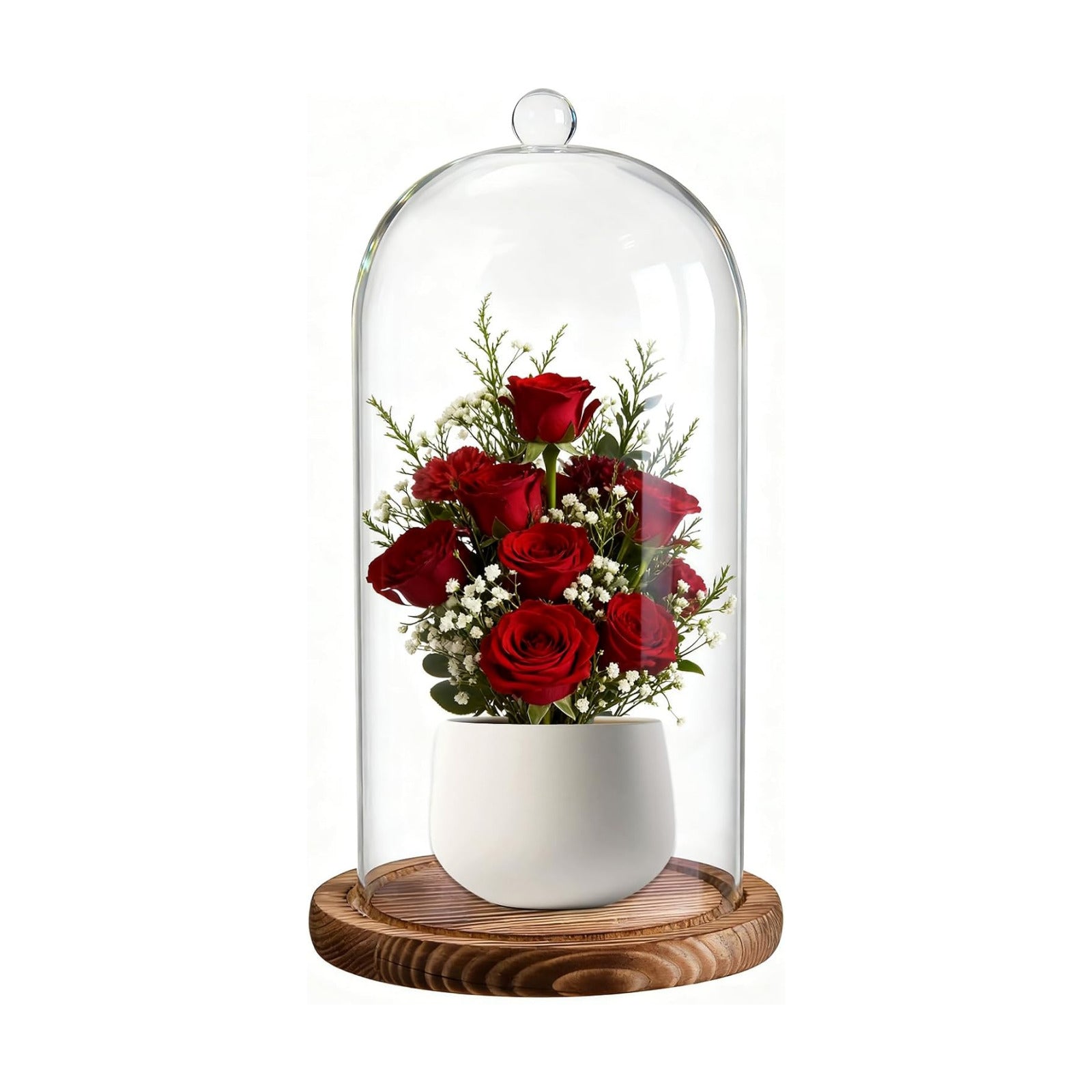 Glass Cloche Dome, 5 x 10 Inch | Glass Bell Jar with Wood Base, Clear Display Case for Flower, Plant,Fairy Lights