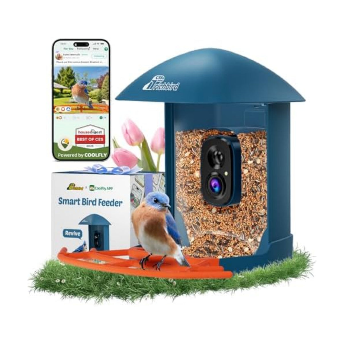 Smart Bird Feeder with Camera & Solar Panel, 2K HD Birdwatching Live