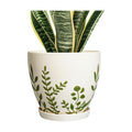 Ceramic Pot for Plants 8.2 Inch - Indoor Plant Pot with Drainage Hole and Saucer, Decorative Boho Round Outdoor