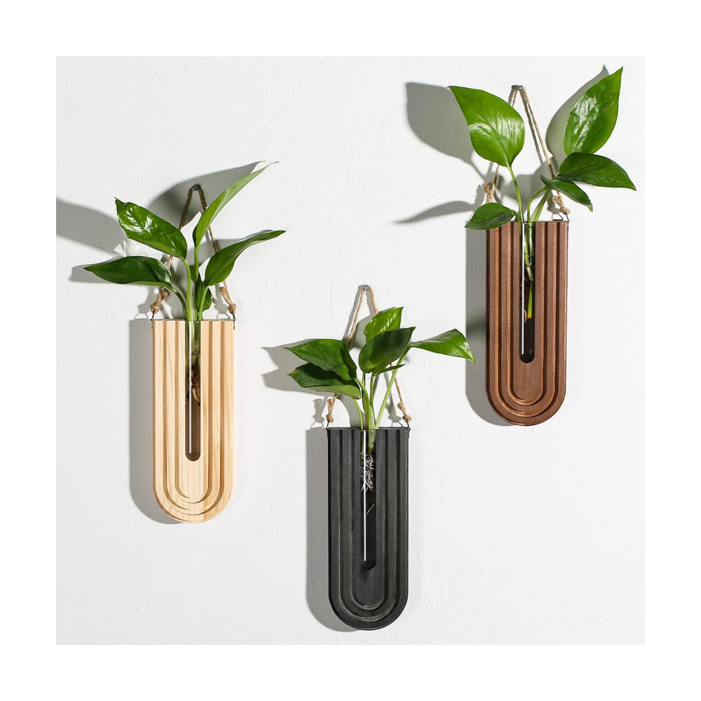 Dnnnii Indoor Wood Wall Planter Set of 3 for Plants - Boho Handmade Hanging Propagation Station with Curved Rainbow