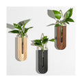 Dnnnii Indoor Wood Wall Planter Set of 3 for Plants - Boho Handmade Hanging Propagation Station with Curved Rainbow