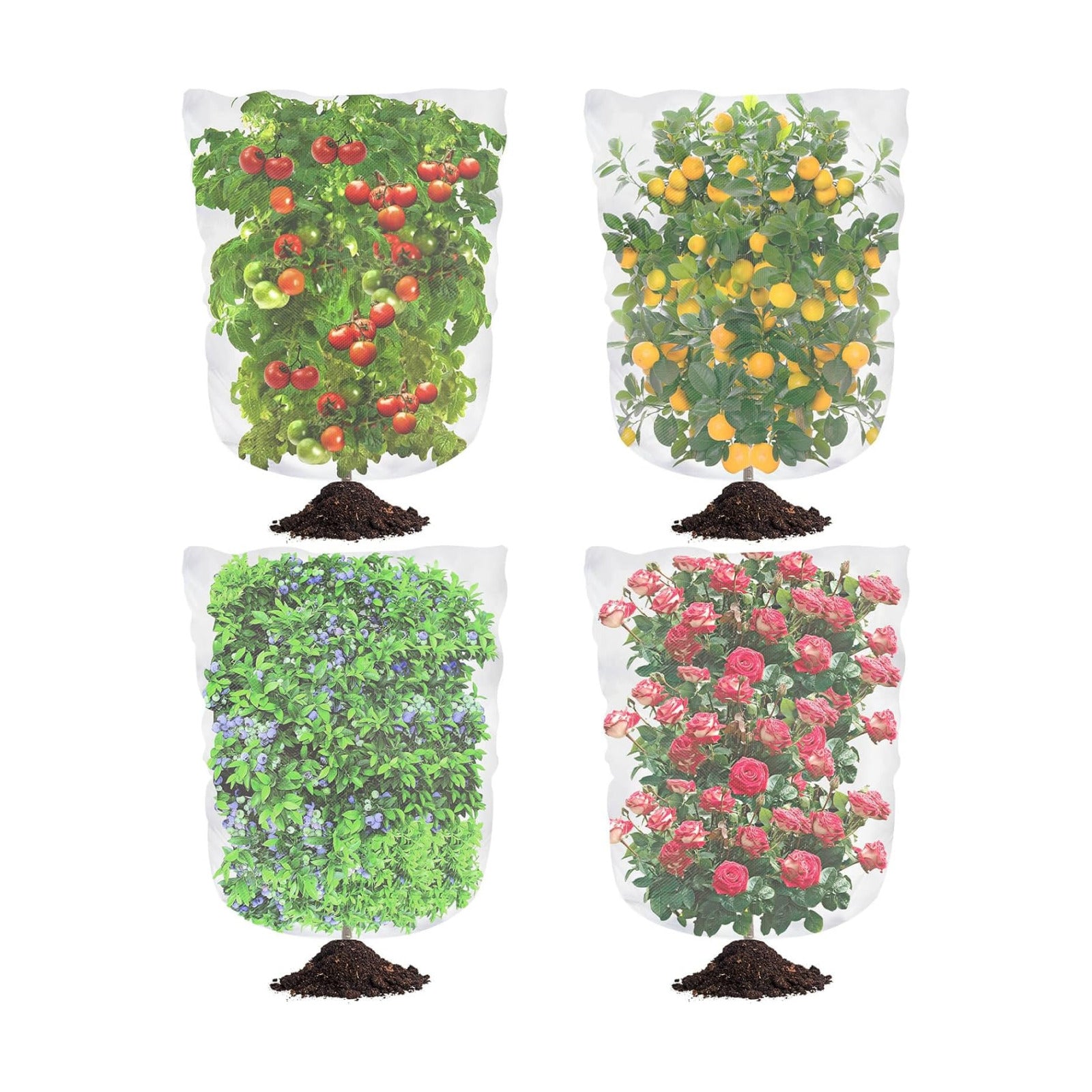 4Ft x 6Ft Blueberry Bush Netting Cover,Bird Netting for Blueberry Bushes | 4 Pack Garden Netting Insect Pest Barrier