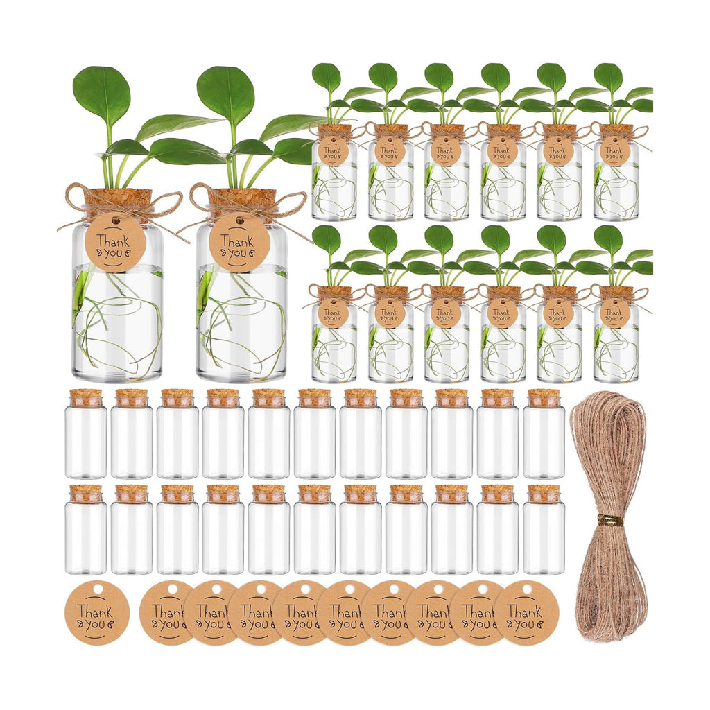 36 Packs Plant Propagation Stations with Hole Lid Clear Plastic Cultivation Bottles Tabletop Hydroponic Containers with