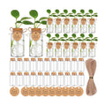 36 Packs Plant Propagation Stations with Hole Lid Clear Plastic Cultivation Bottles Tabletop Hydroponic Containers with
