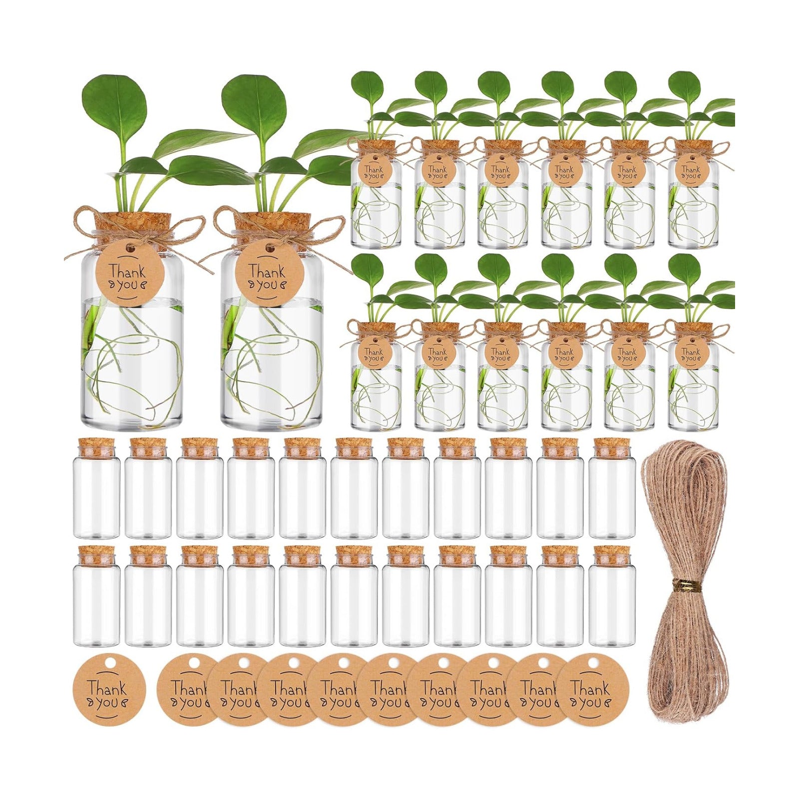36 Packs Plant Propagation Stations with Hole Lid Clear Plastic Cultivation Bottles Tabletop Hydroponic Containers with