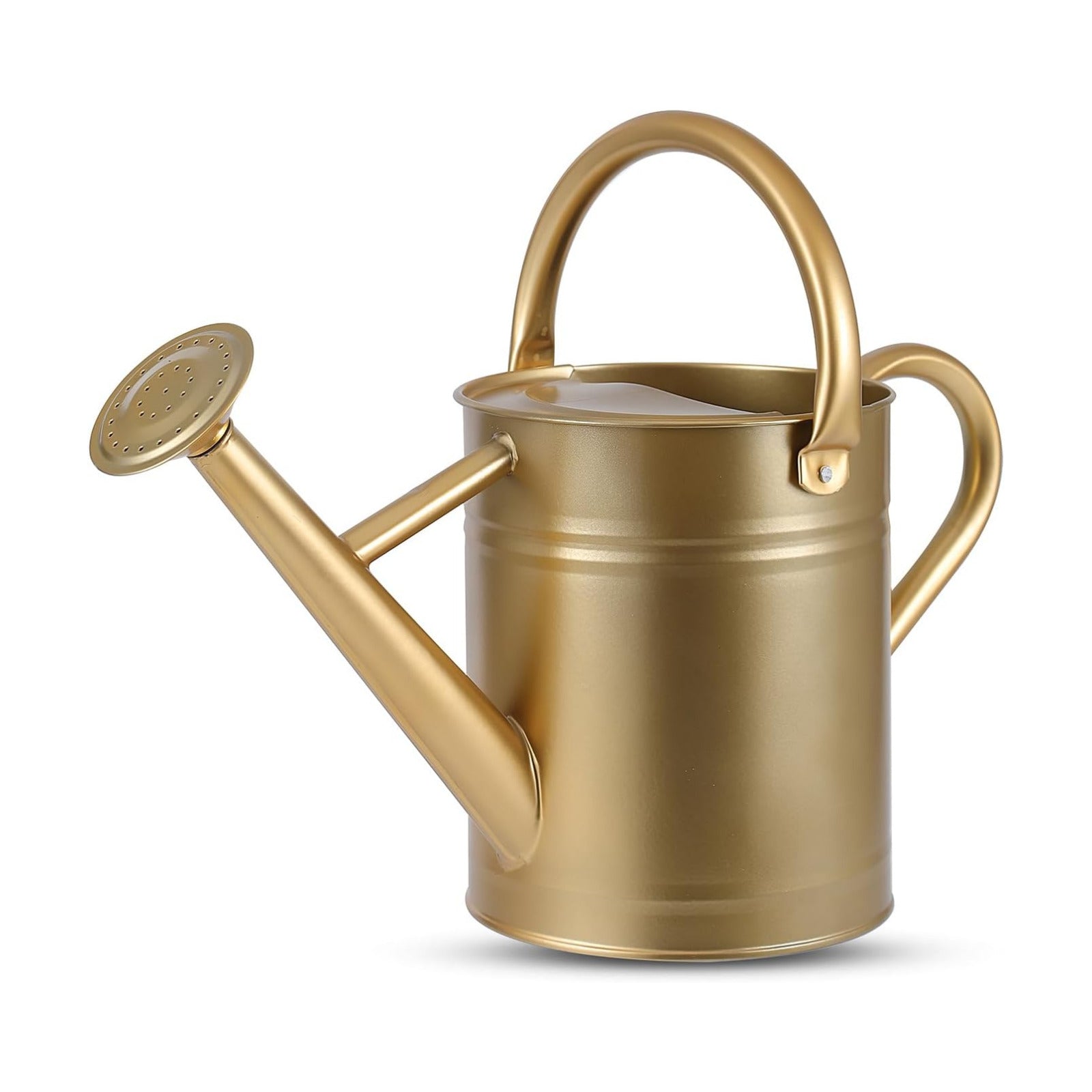 1 Gallon Watering Can for Plants, Watering Cans for Indoor&Outdoor Gardening, Galvanized Steel Watering Pot with