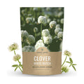 White Dutch Clover - Bulk 1 Pound Pouch - 600,000 Flower Seeds for Planting - Trifolium repens