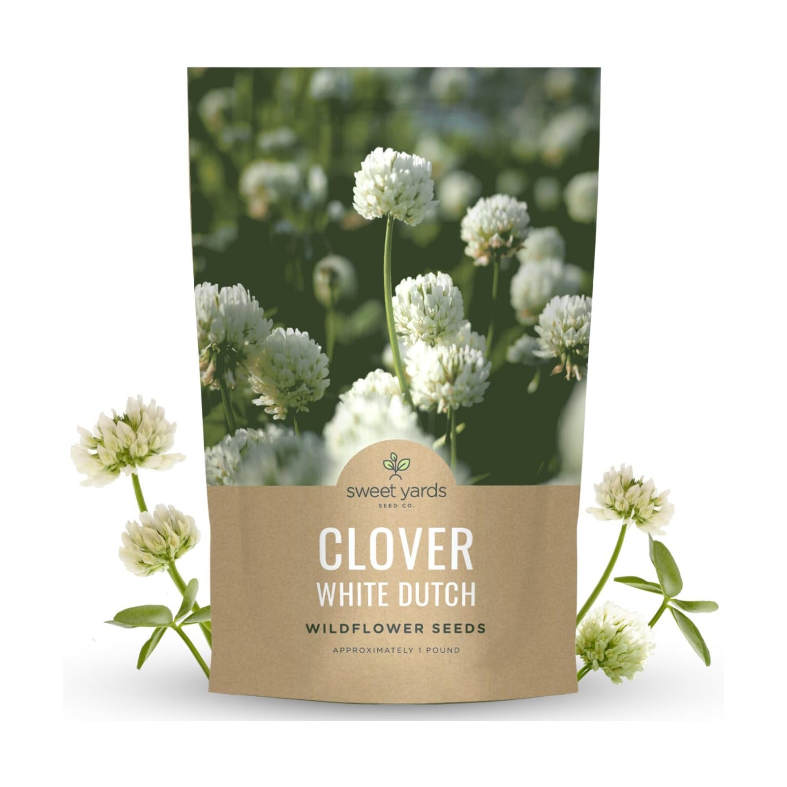 White Dutch Clover - Bulk 1 Pound Pouch - 600,000 Flower Seeds for Planting - Trifolium repens
