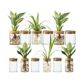 Glass Plant Propagation Stations for Plants – Set of 12(6 Large & 6 Small) Hydroponic Vases for Plant Cuttings,Flower