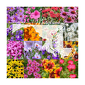 Maryland Bulk Wildflower Seed Mix 1/4lb Covers 500sq-ft - Attract Pollinators, Multi-Color Perennial and Annual Non-GMO