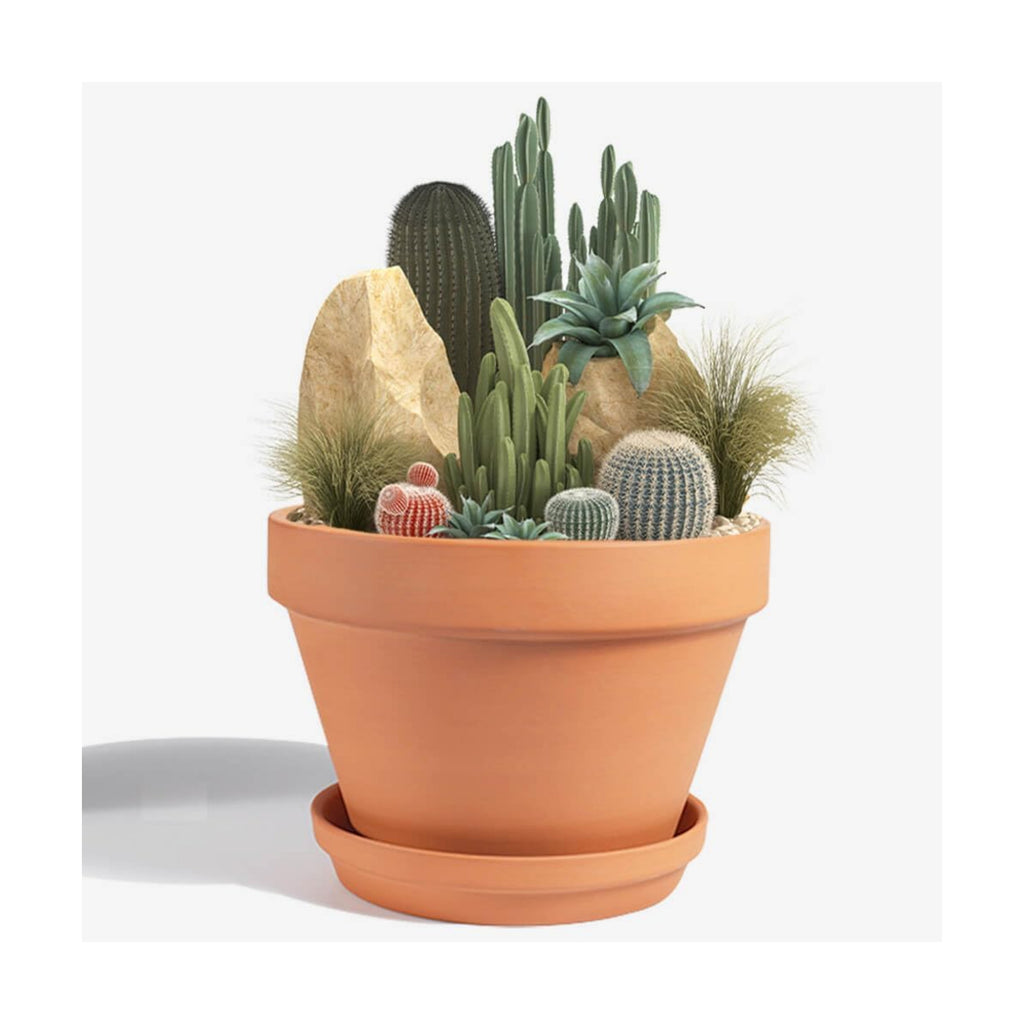 8 Inch Terracotta Pots with Saucer - 1 Pack Large Terra Cotta Pot with Drainage Hole, Clay Planters Pot for Indoor