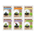 Tiny Terrarium Plant Seeds 6 Variety Cacti Pack, DIY Indoor Succulents and Live Plants for Home or Garden Planting