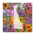 Delaware Bulk Wildflower Seed Mix 1/4lb Covers 500sq-ft - Attract Pollinators, Multi-Color Perennial and Annual Non-GMO