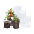 homenote 4/5/6.7 Inch Transparent Nursery Pots with Drainage Holes (30 Pcs)