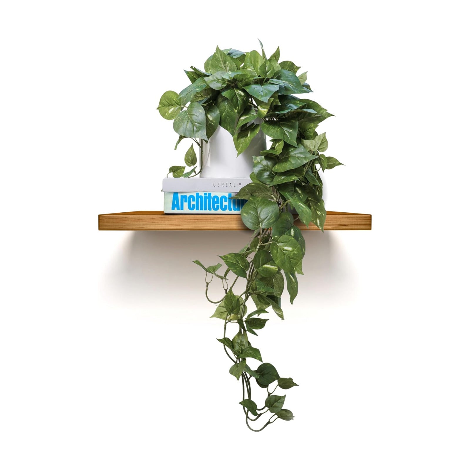 MY ROVALA Silk Plants for Home Decor Indoor in Pot Realistic Artificial Plants Hanging Faux Plants Indoor Fake Potted