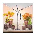 3Head Tabletop Grow Lights for Indoor Plants, Seed Starting, Vegetables, Bonsai, Bright Desk Plant Growing Lamps