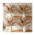 JOHOUSE 450PCS Natural Dried Pampas Grass Decor