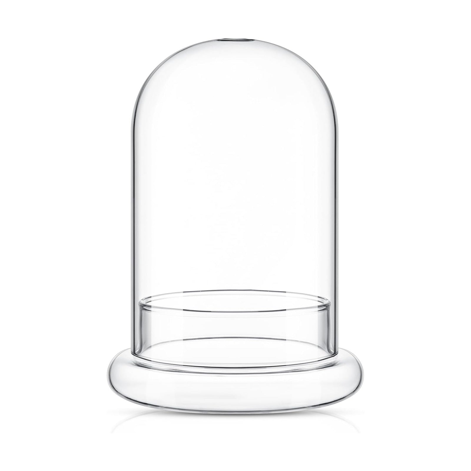 1 PC 5.9 x 7.9 Inch Glass Terrarium Dome Cloche with Air Hole & Glass Base, Clear Terrarium Containers Ventilated Plant