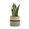 Dahey Plant Basket Indoor for 12 inch Pot Woven Jute Planter, Black