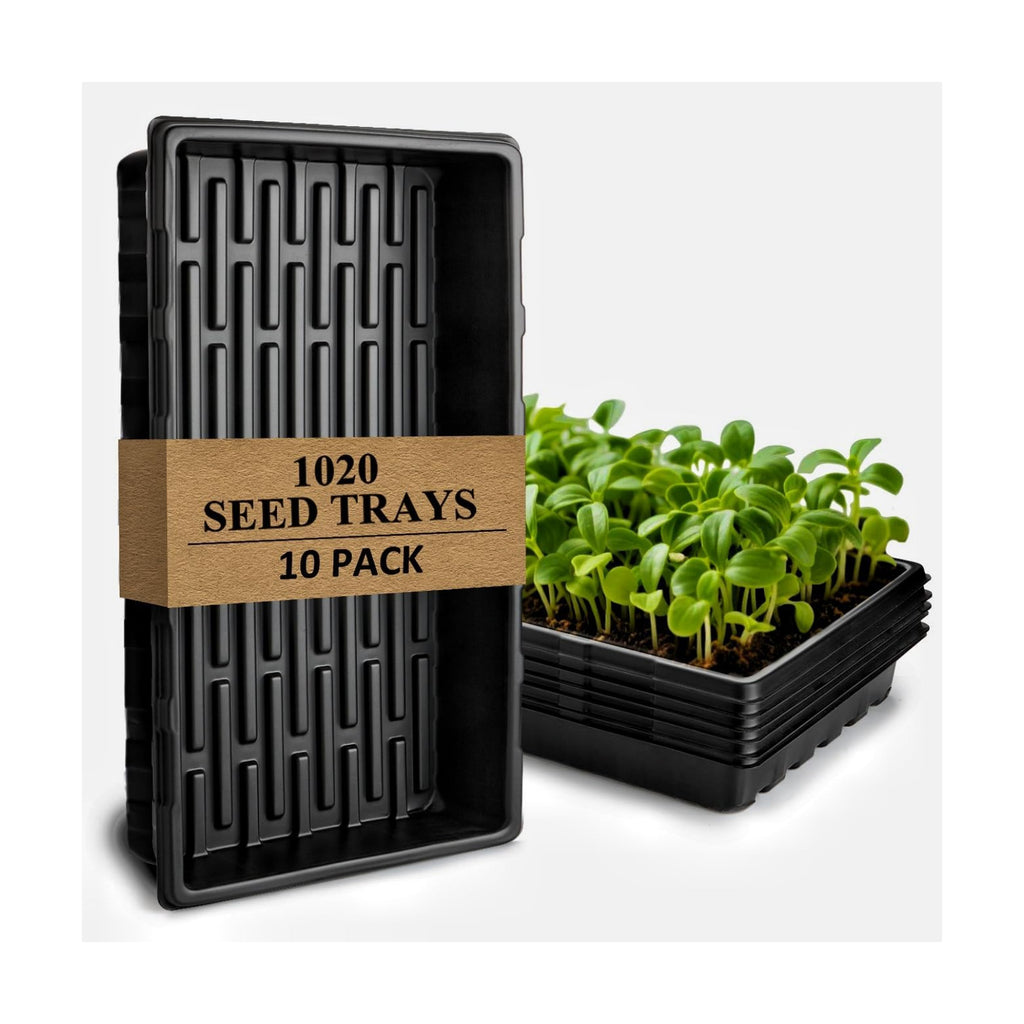 10-Pack Heavy-Duty 1020 Seed Trays No Holes, Thick Plastic Plant Flats | Reusable Growing Trays for Seed Starting